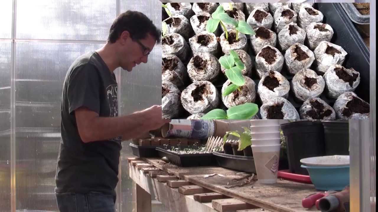 What's Growing On in the Greenhouse?