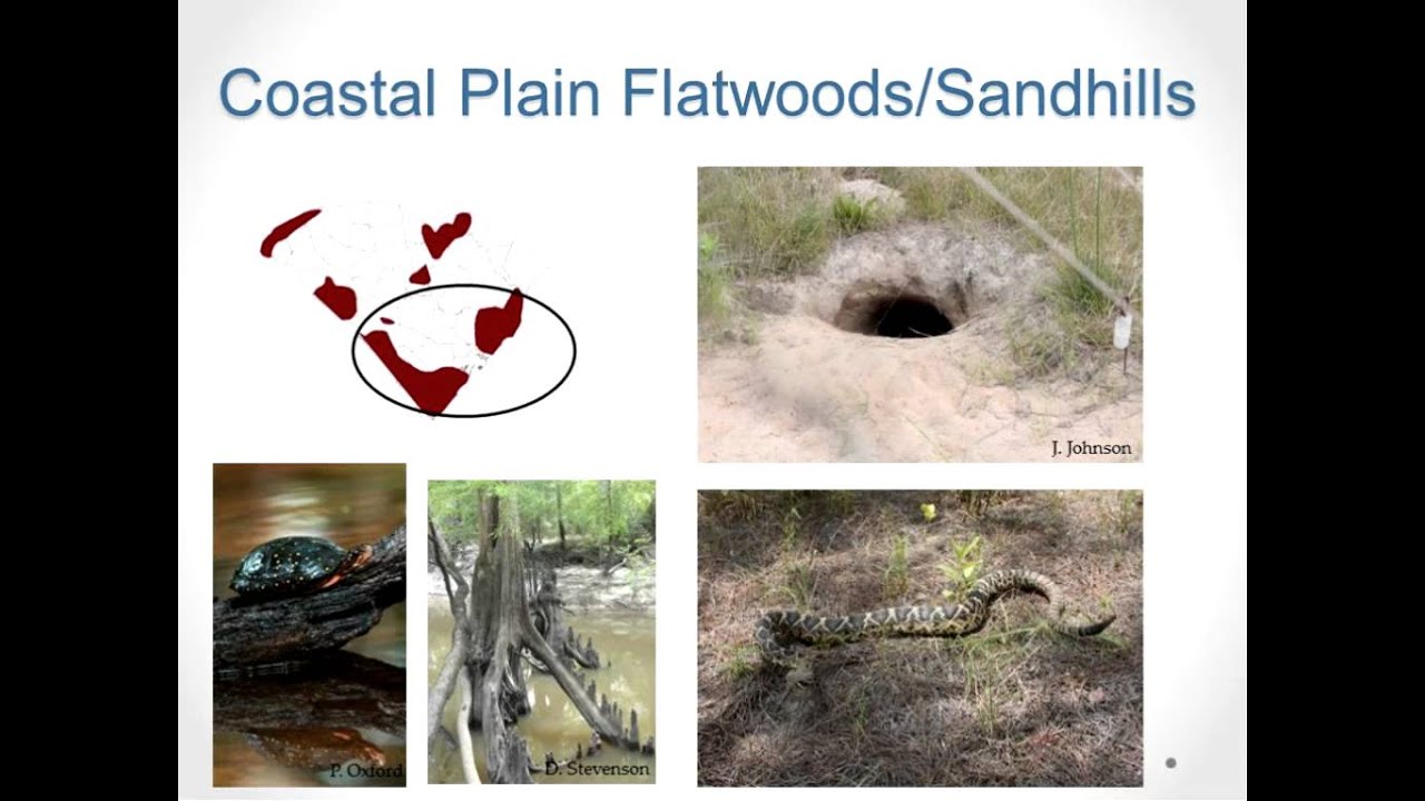 PRIORITY AMPHIBIAN AND REPTILE CONSERVATION AREAS (PARCAS): CREATIVE USES FOR CONSERVATION