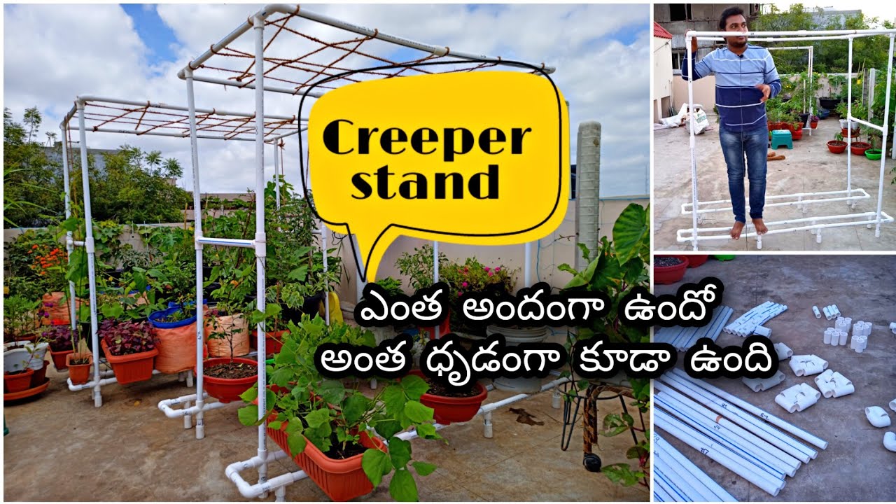 #PotStands Creeper stand with UPVC pipes | ఇప్పటి నుండి తీగజాతులు పెంచడం ఈజీ అవుతుంది #OrgGardener