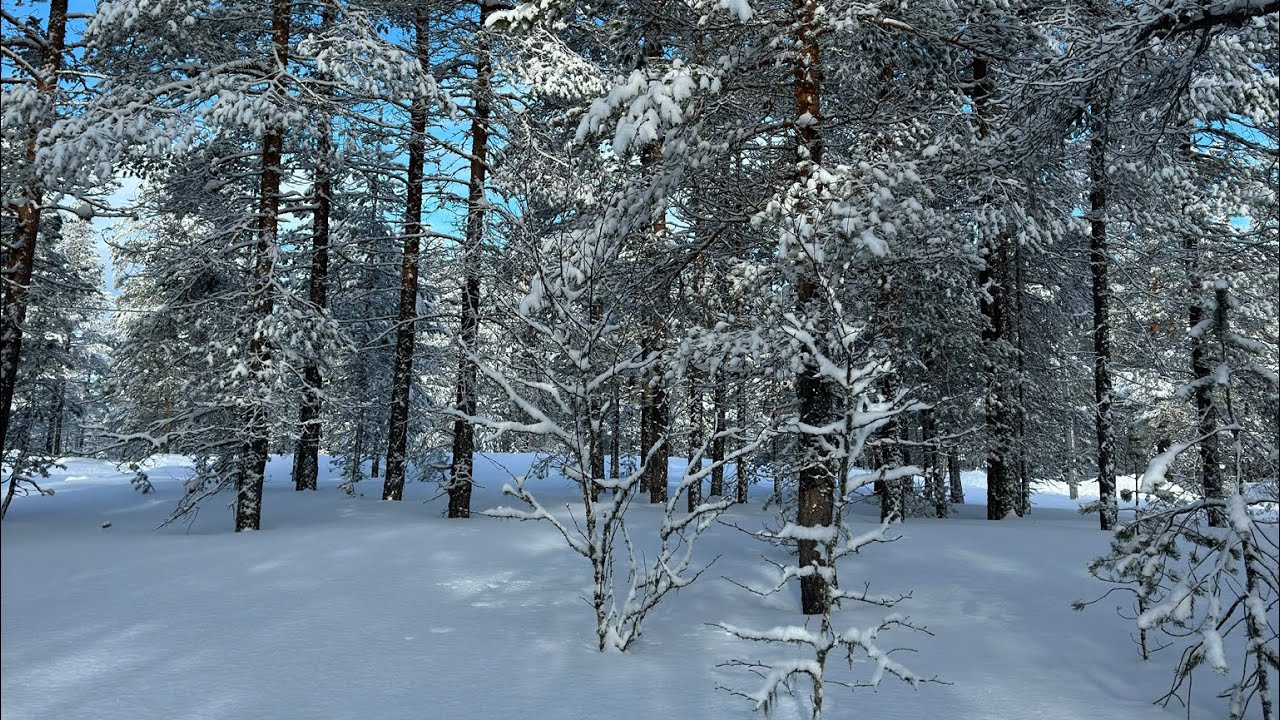Idrefjäll 2024