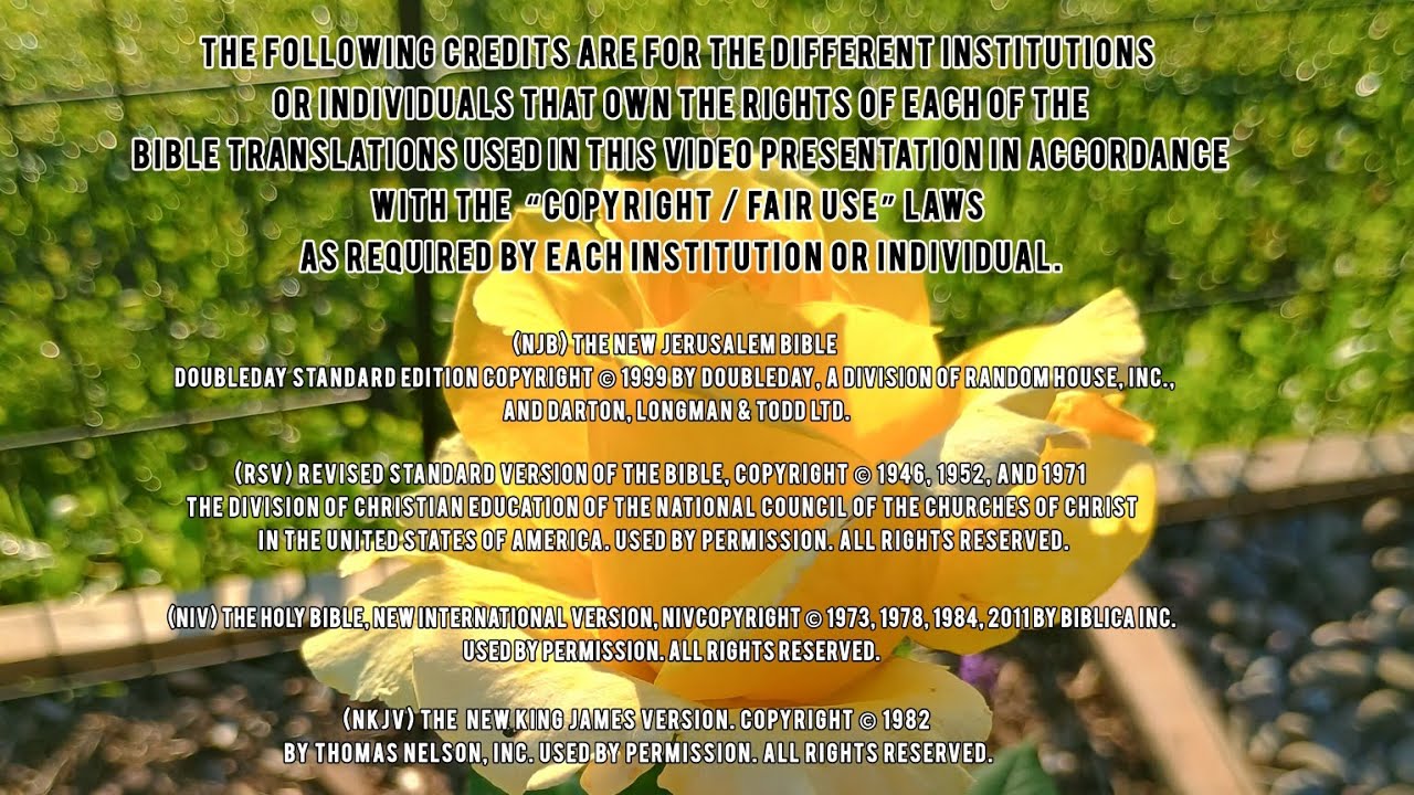 Importance of Personal Bible Study