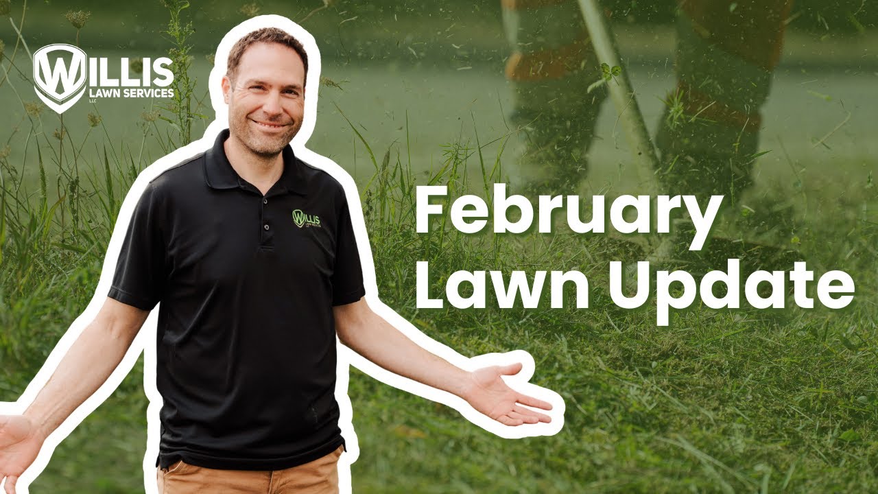 February Lawn Updates