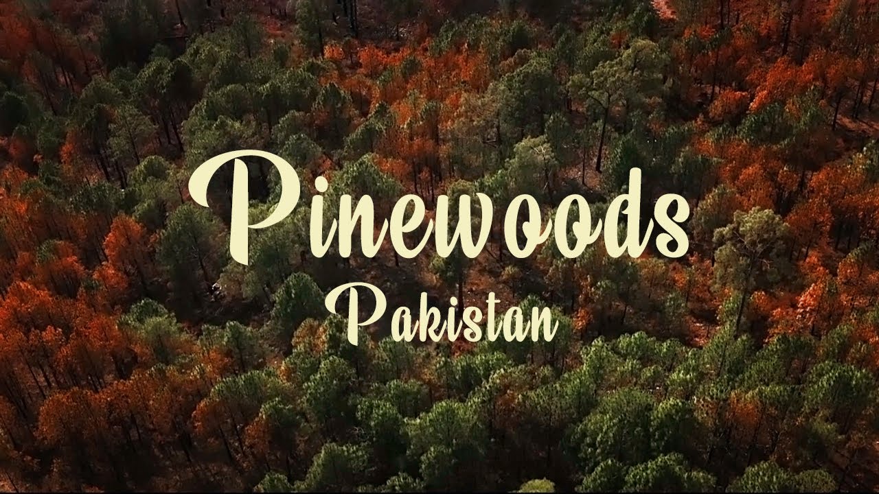 Pine City Pir Sohawa Islamabad Pakistan Cinematic Drone Video