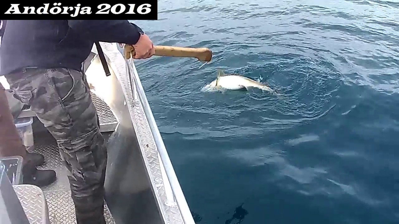 Fishing in And&ouml;rja 2016