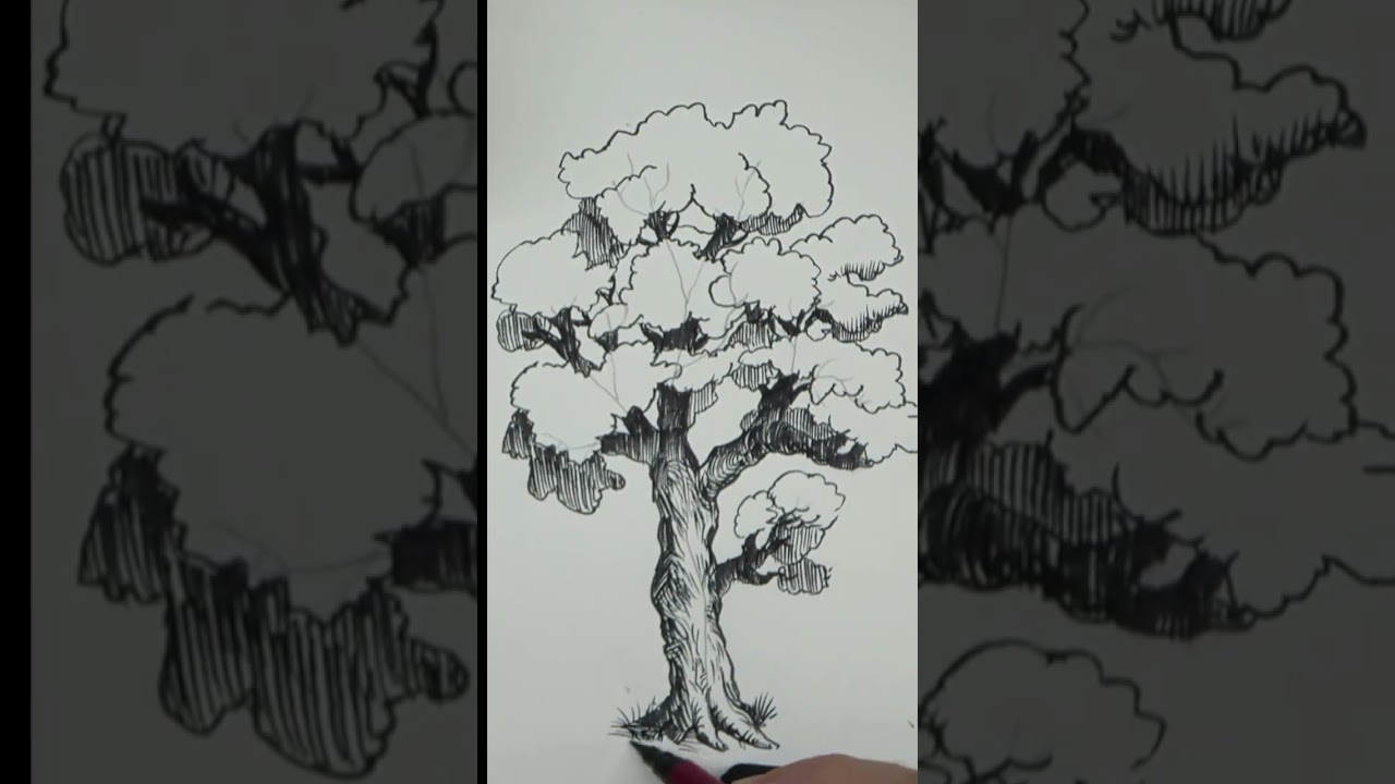 🌳 DESSINER DES ARBRES NATURELS : Ma m&eacute;thode en 6 &eacute;tapes ! (Plus jamais d'arbres bizarres !)