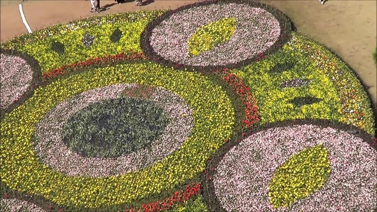 Floriade Beautiful  - Canberra's Flower Festival  Show