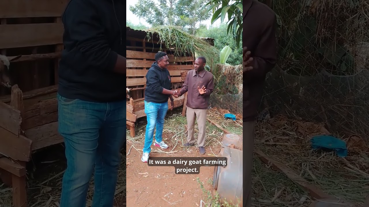 Mr. Murage's story : More Than Milk - Empowering Farmers Through Imfuyo's Dairy Goat Project.