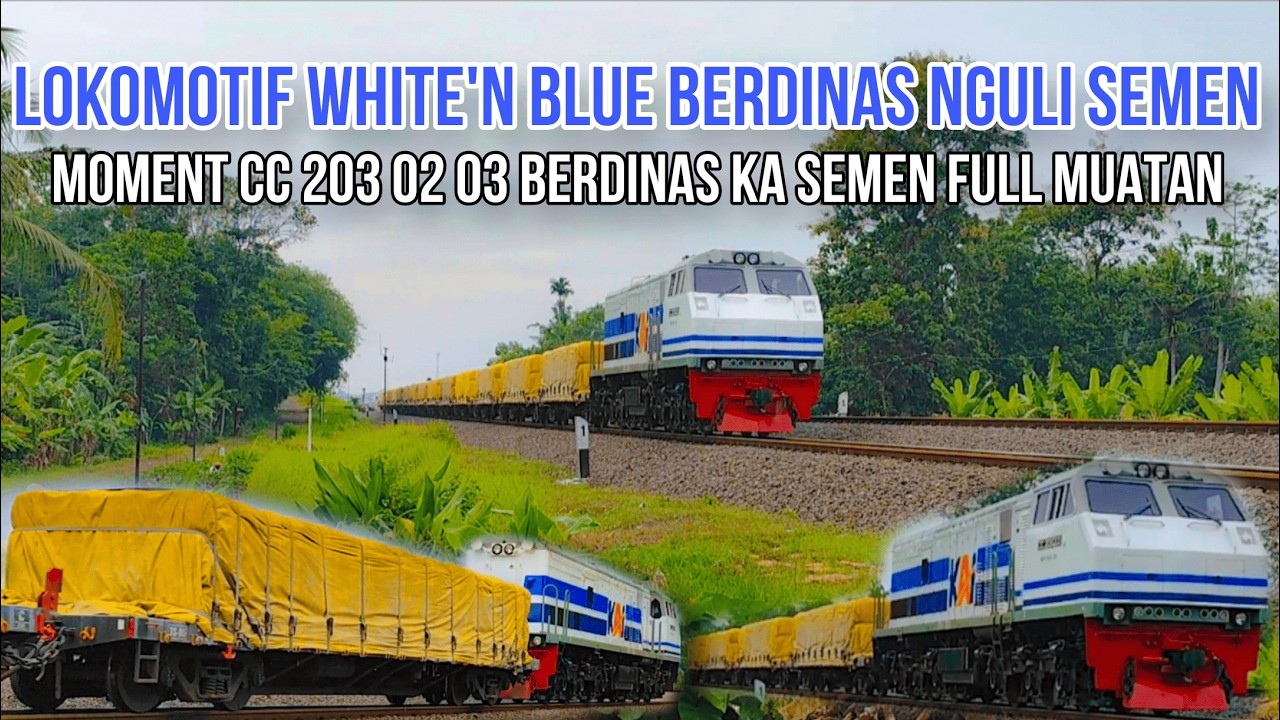 LOKOMOTIF CC 203 LIVERY WHITE'N BLUE BERDINAS NGULI KERETA SEMEN | CC 203 02 03 Dinas KA Semen Isian