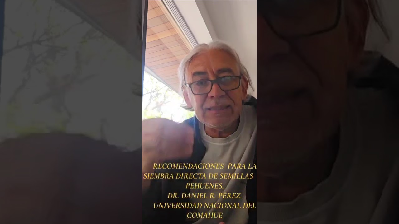Video Siembra directa Pehuen