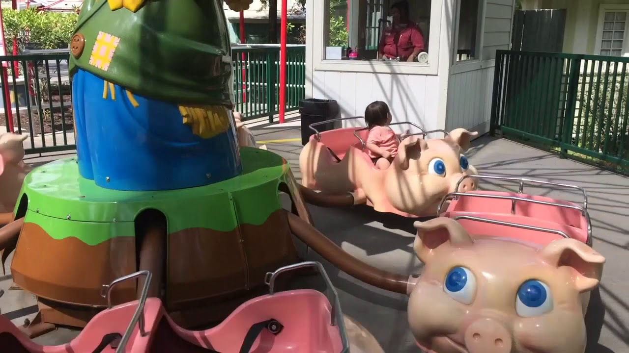 Busy Busy Bee And Pig Ride At Dollywood