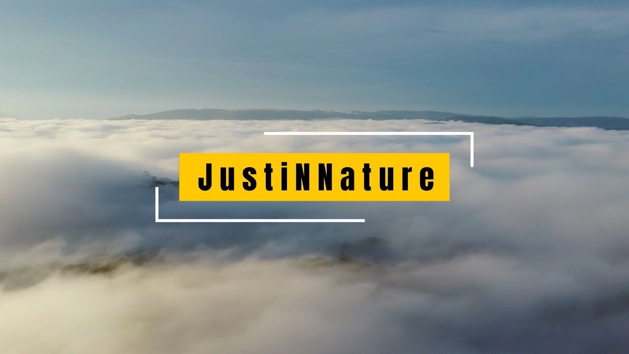 Lane8 - Nils Hoffmann - Tinlicker - Scorz - Avoure ( JustiNNature Melodic House Set )