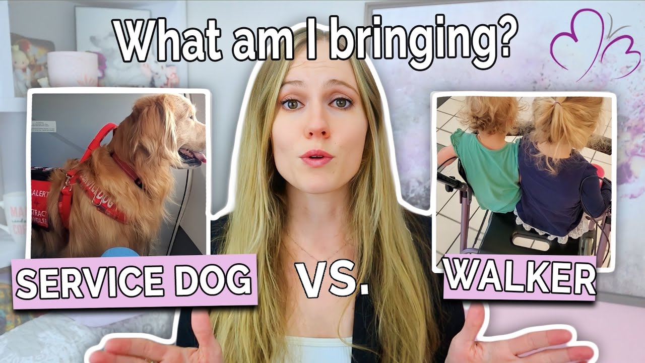 Walker vs Service Dog for POTS – What Really Works? // Which Mobility Aid is Right for You?