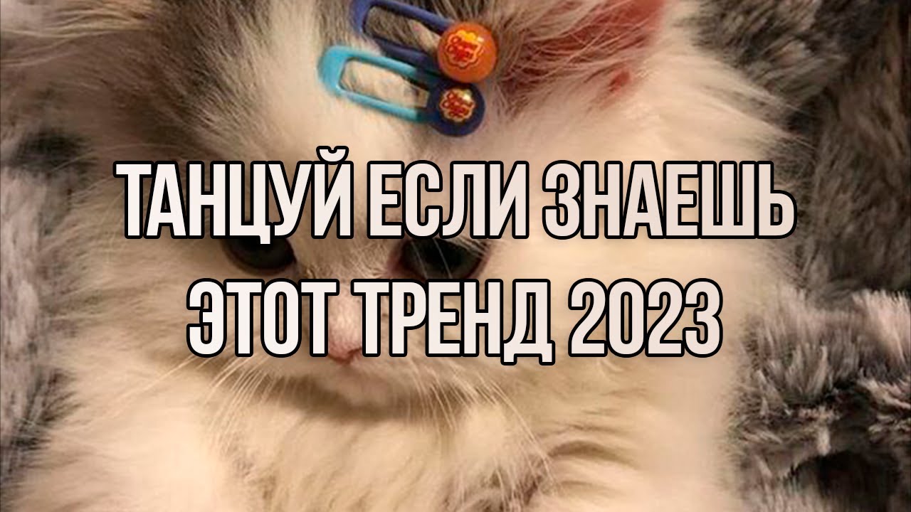 Танцуй Если Знаешь Этот Тренд 2023 Года🎶🔥