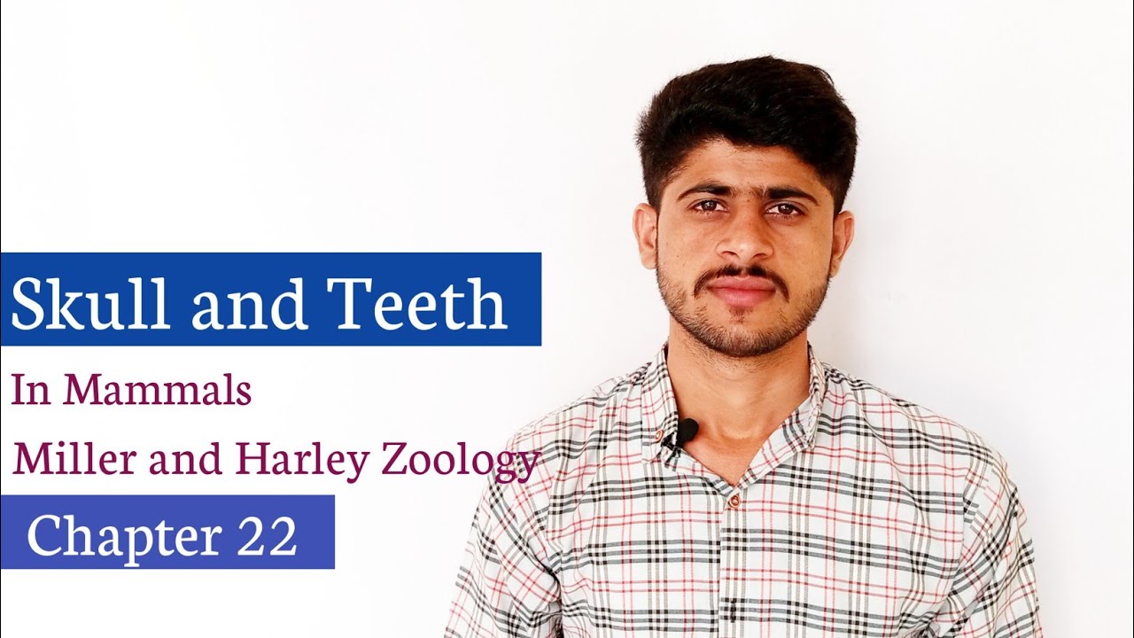 Skull and Teeth in Mammals|Miller and Harley Zoology| chapter 22
