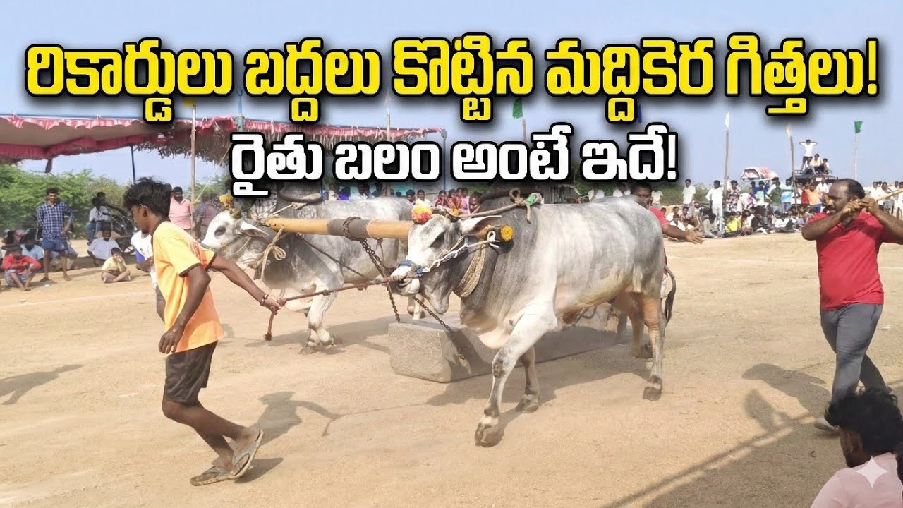 Bulls race SVV entertainment village festivals 