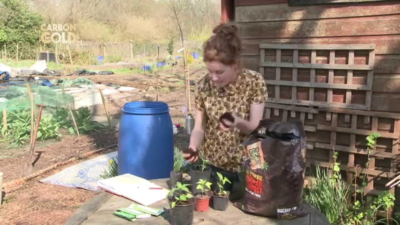 Gardening during a drought with GroChar