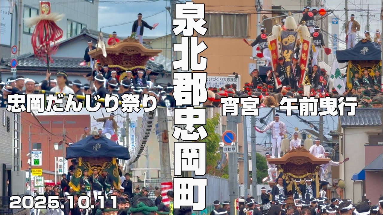 【2025.10.11】忠岡だんじり祭り　宵宮午前曳行