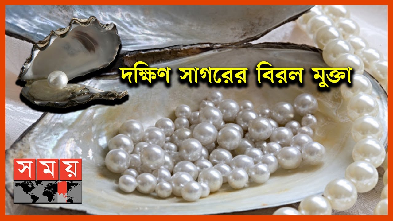 দক্ষিণ সাগরের মুক্তা কেন বেশি মূল্যবান? | Pearls | Expensive Pearls | History of Pearls | Somoy TV