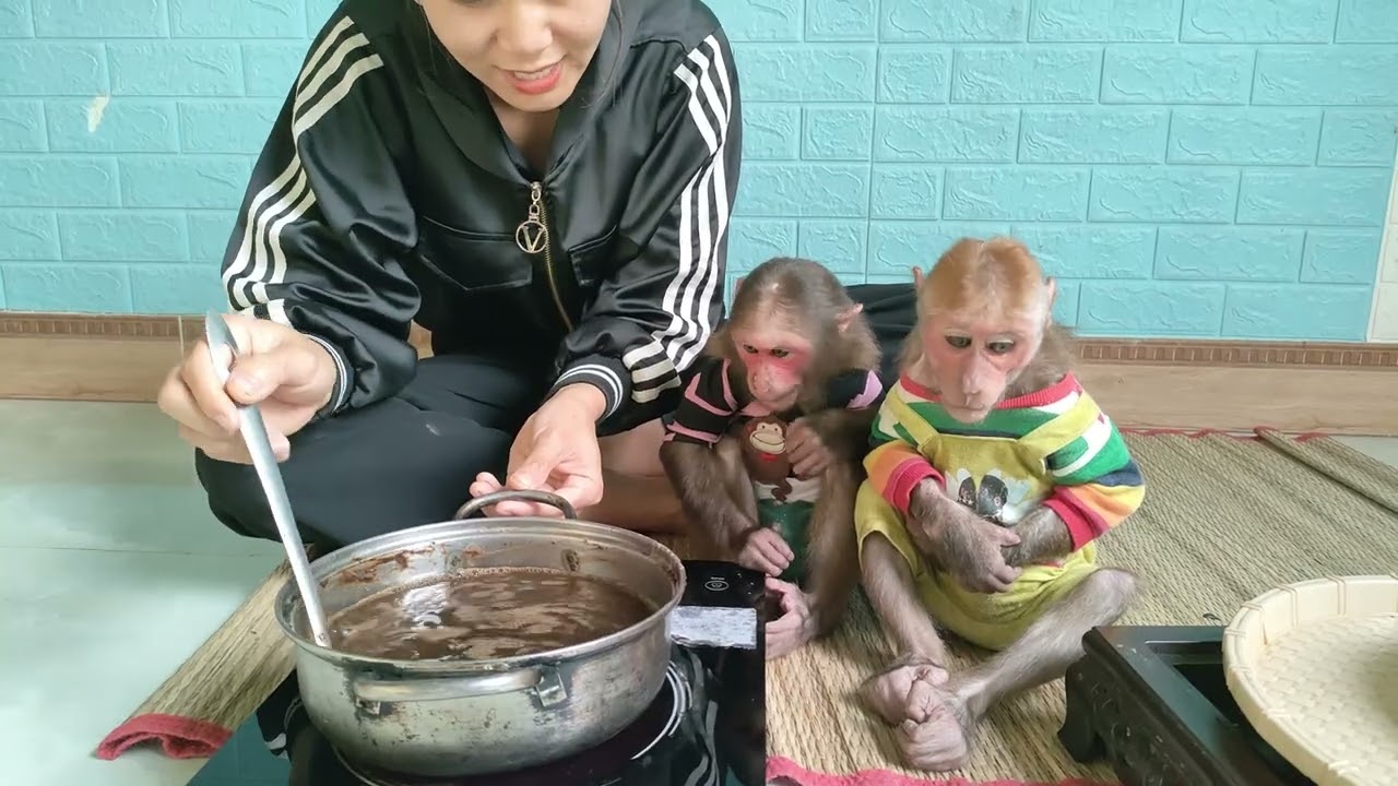 Mimi Kuku waits for Mom to make super delicious giant black jelly