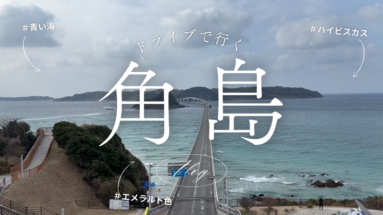 角島元の隅探索！！野生動物多すぎる編
