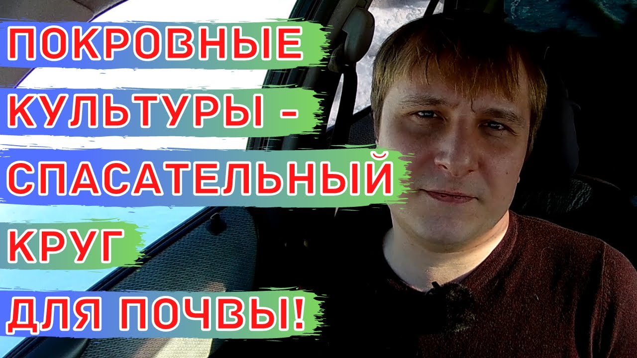 Покровные культуры. Сидераты