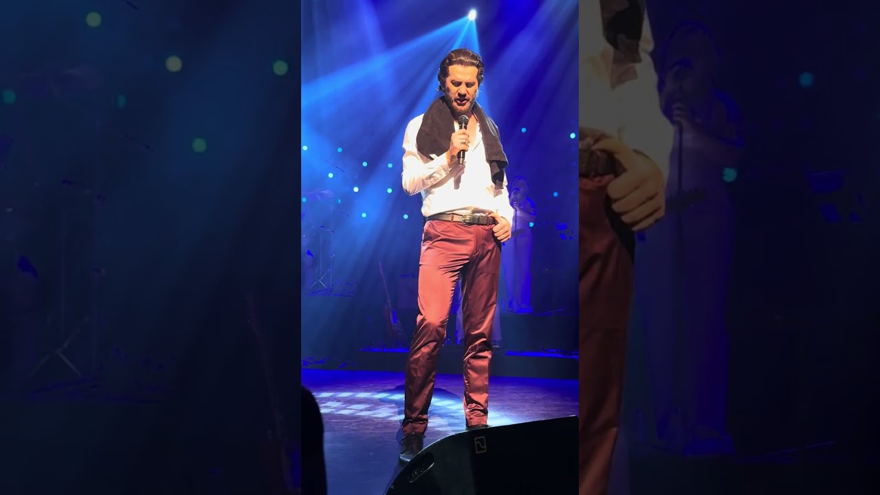 My Way - Bouke rocks Elvis - Agora theater Lelystad 22 januari 2026