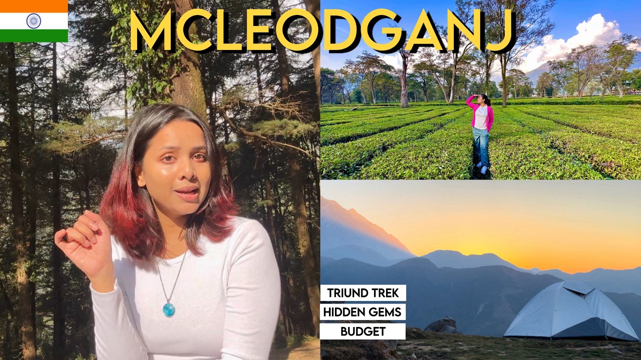McLeodganj & Triund Trek solo trip guide 🇮🇳