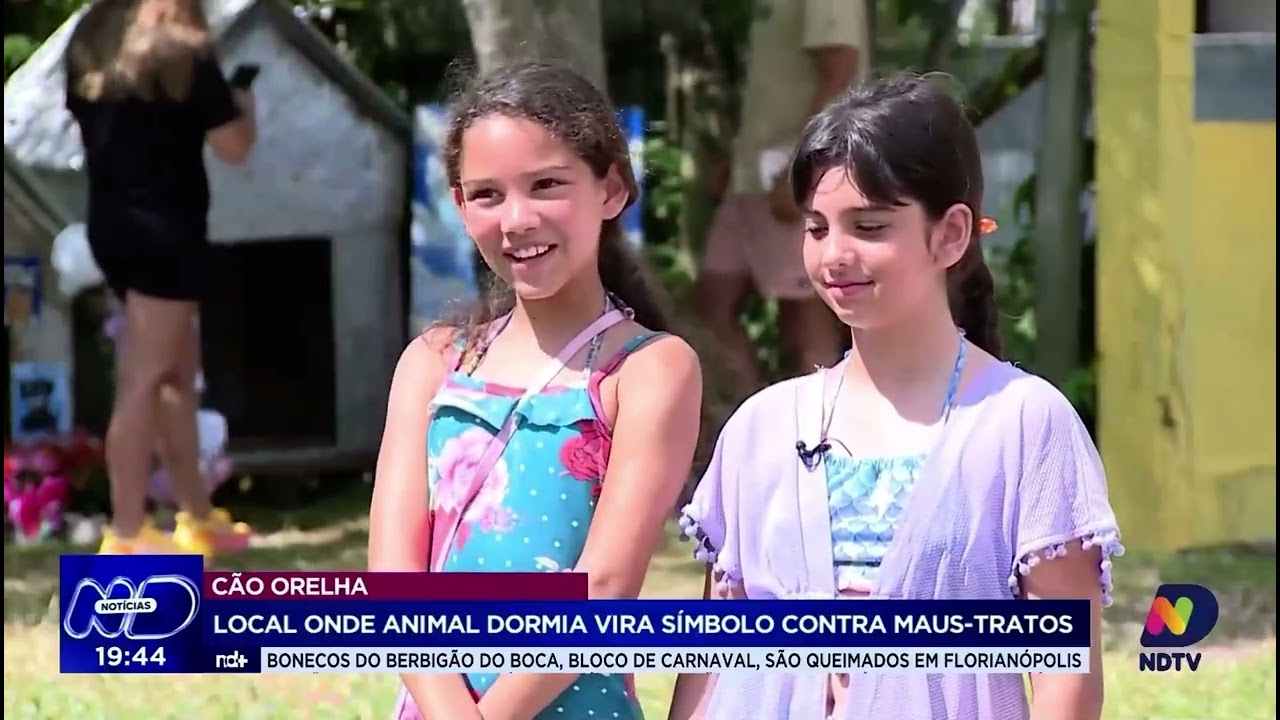 Livro do Orelha | História real que virou livro e ajuda animais em SC | Reportagem ND Notícias