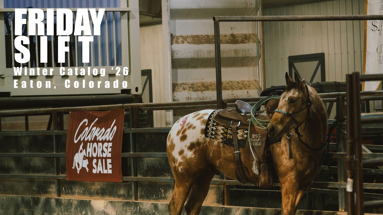 Colorado Horse Sale Winter Catalog - Friday Sift - Sponsored By Cinch