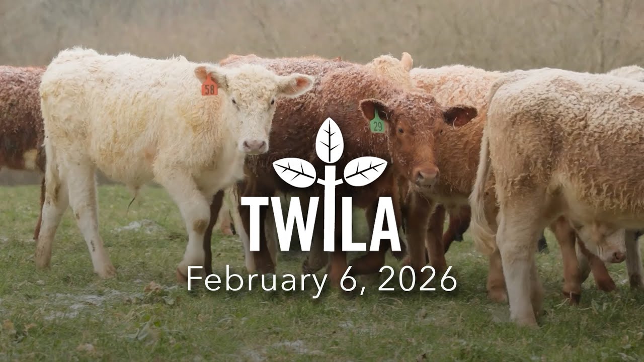 TWILA— February 6, 2026