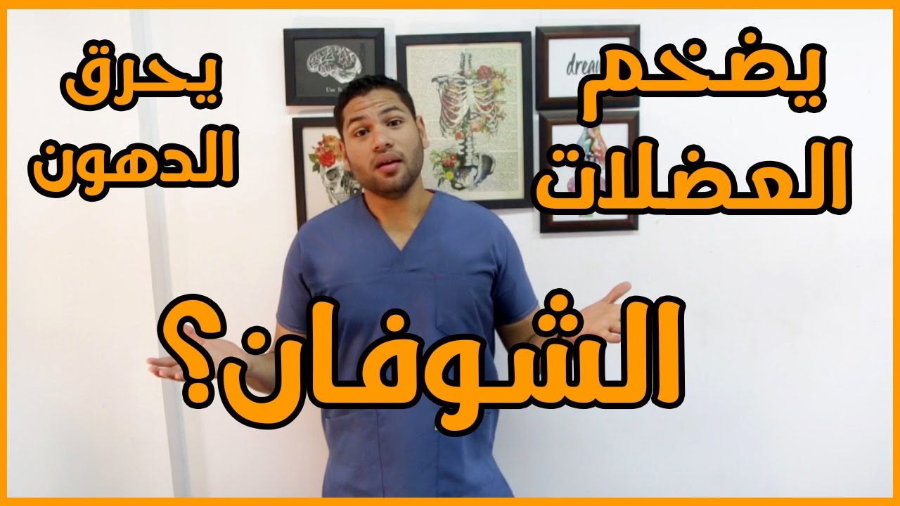 هل الشوفان يضخم العضلات ويزيد الوزن ام يحرق الدهون ويساعد على التخسيس | دكتور كريم رضوان