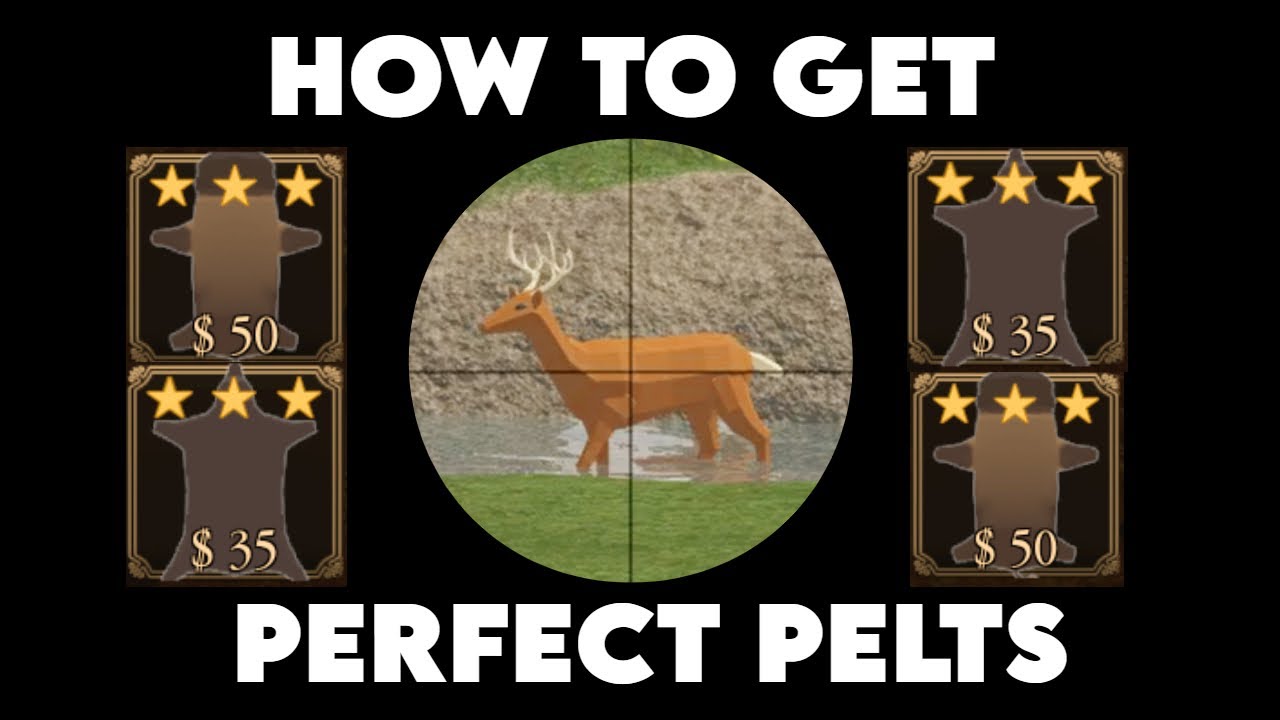 HOW TO GET PERFECT PELTS | Roblox Westbound