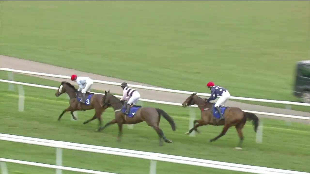 Snipe wins at Leicester