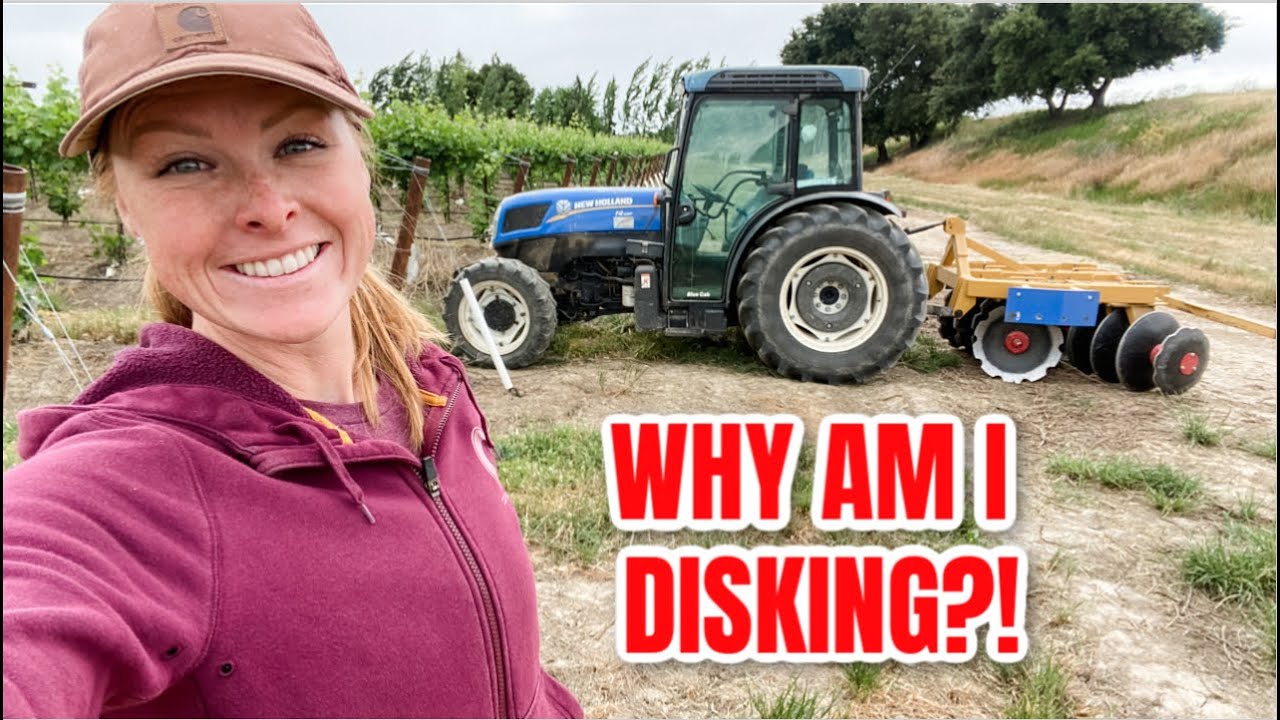 Why am I Disking the Vineyard?!