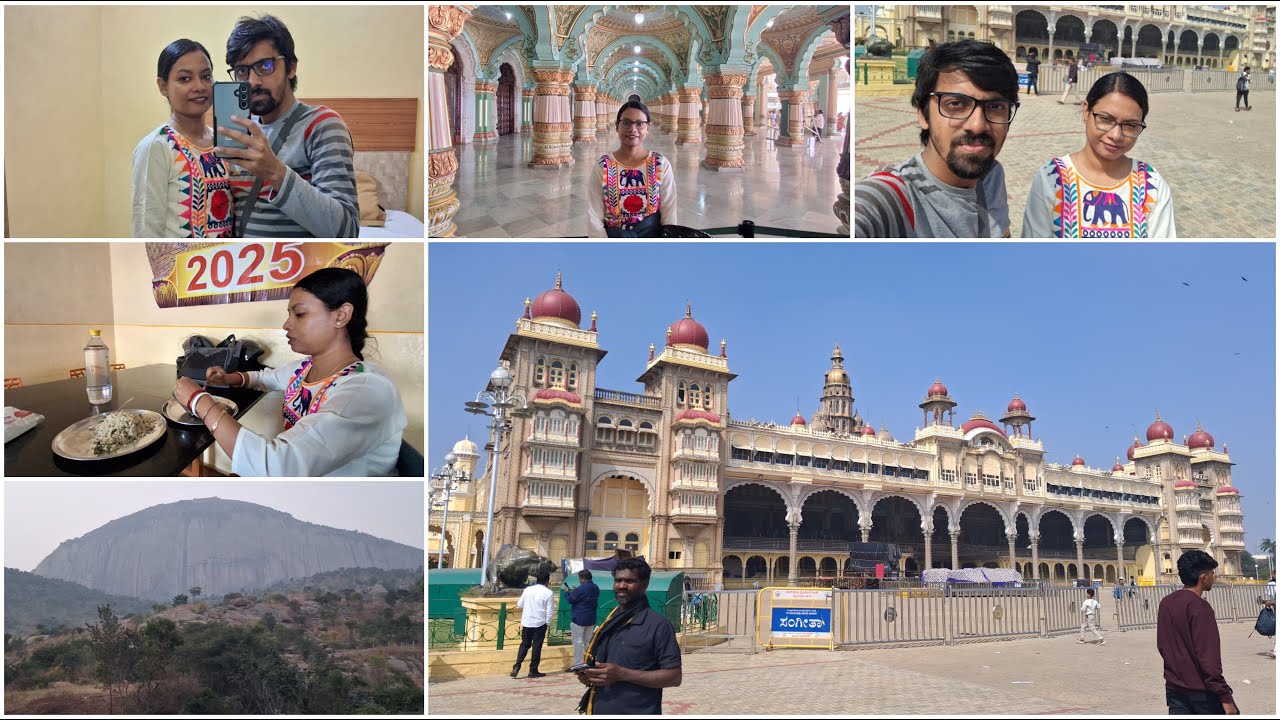Mysore Palace দেখে বাড়ি ফেরার পালা 🏍️ #mysore #Palace #karnataka #historicalplace #biketrip