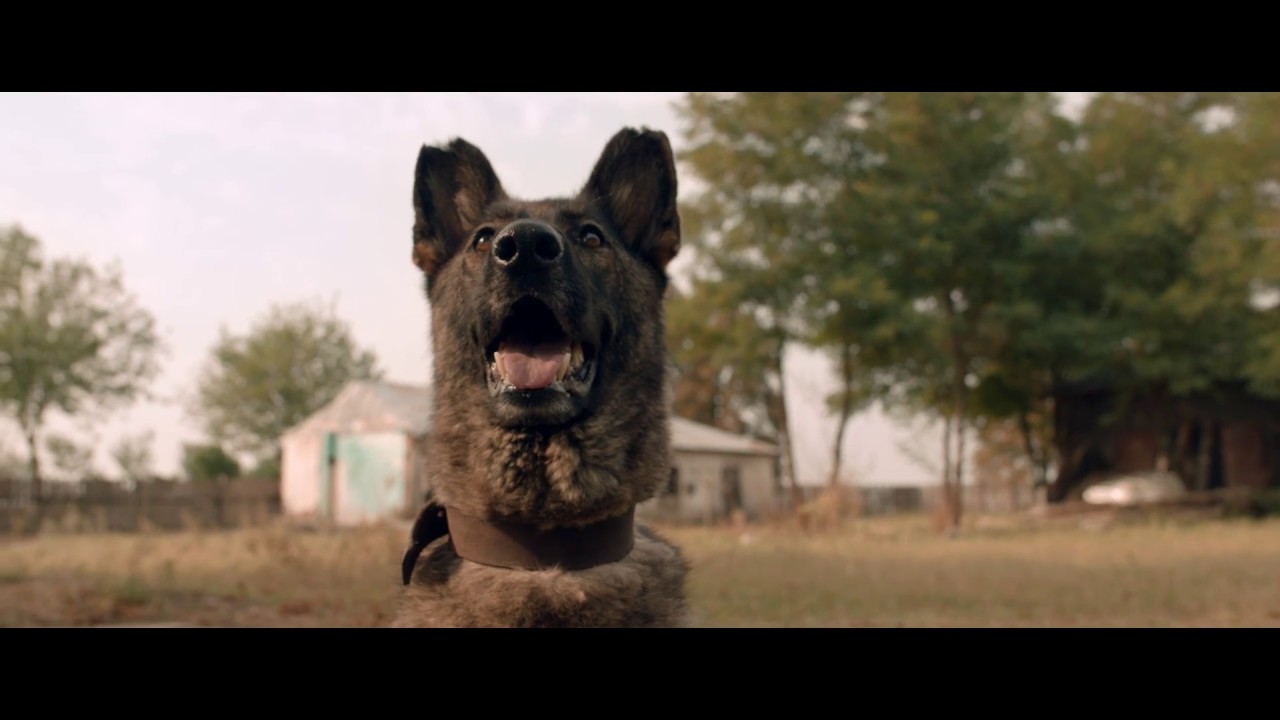 Dogs (2016) - Trailer (International)