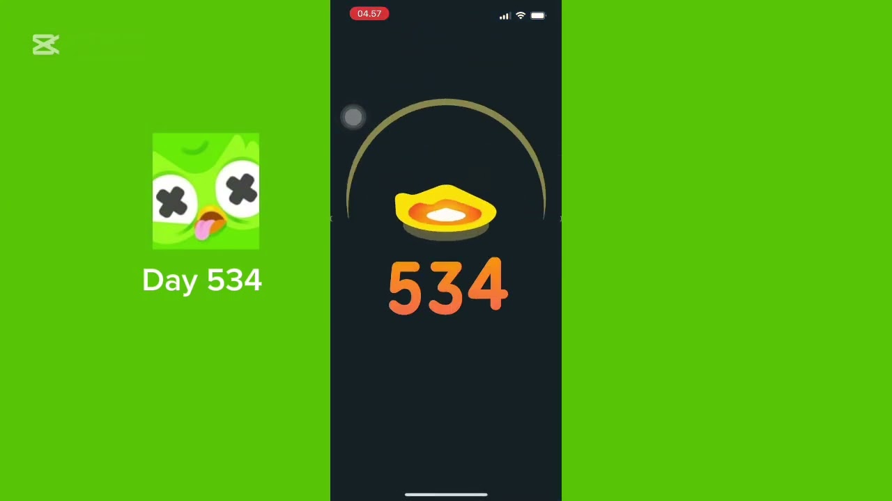 Duolingo Day 534