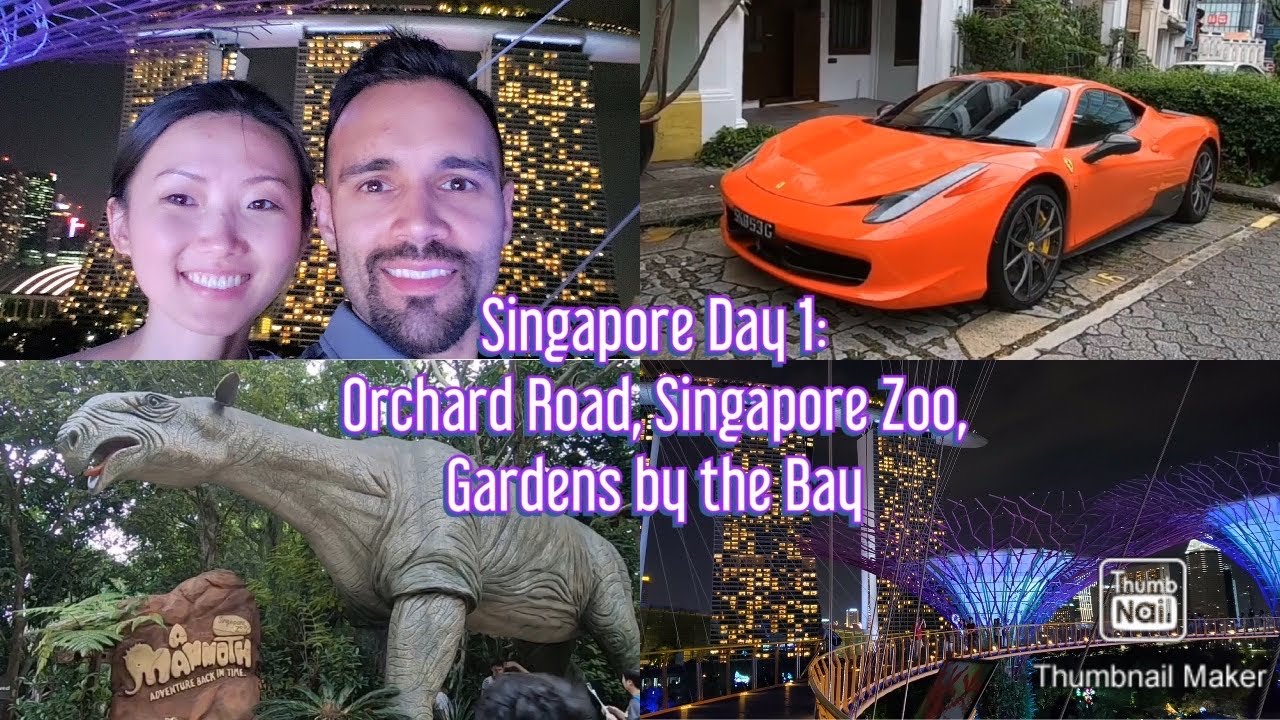 Best of Singapore Tour: Orchard Road, Singapore Zoo, Gardens by the Bay