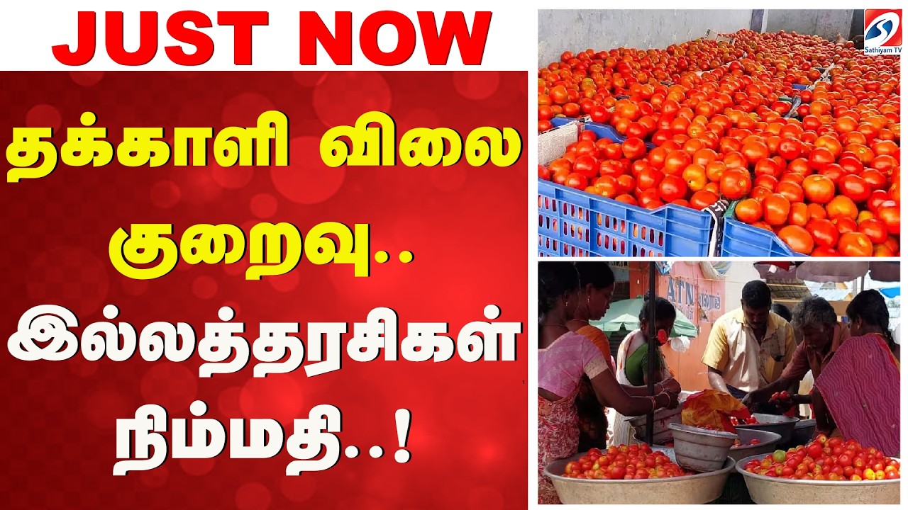 Tomato Price Today | Tomato Price Drop | Salem Tomato Market | Tomato Rate