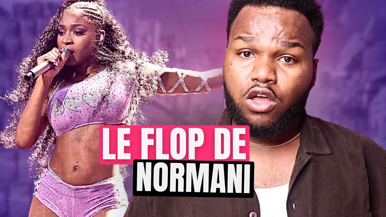 LA VÉRITÉ SUR LE FLOP DE NORMANI (Plagiat, argent, concurrence...)