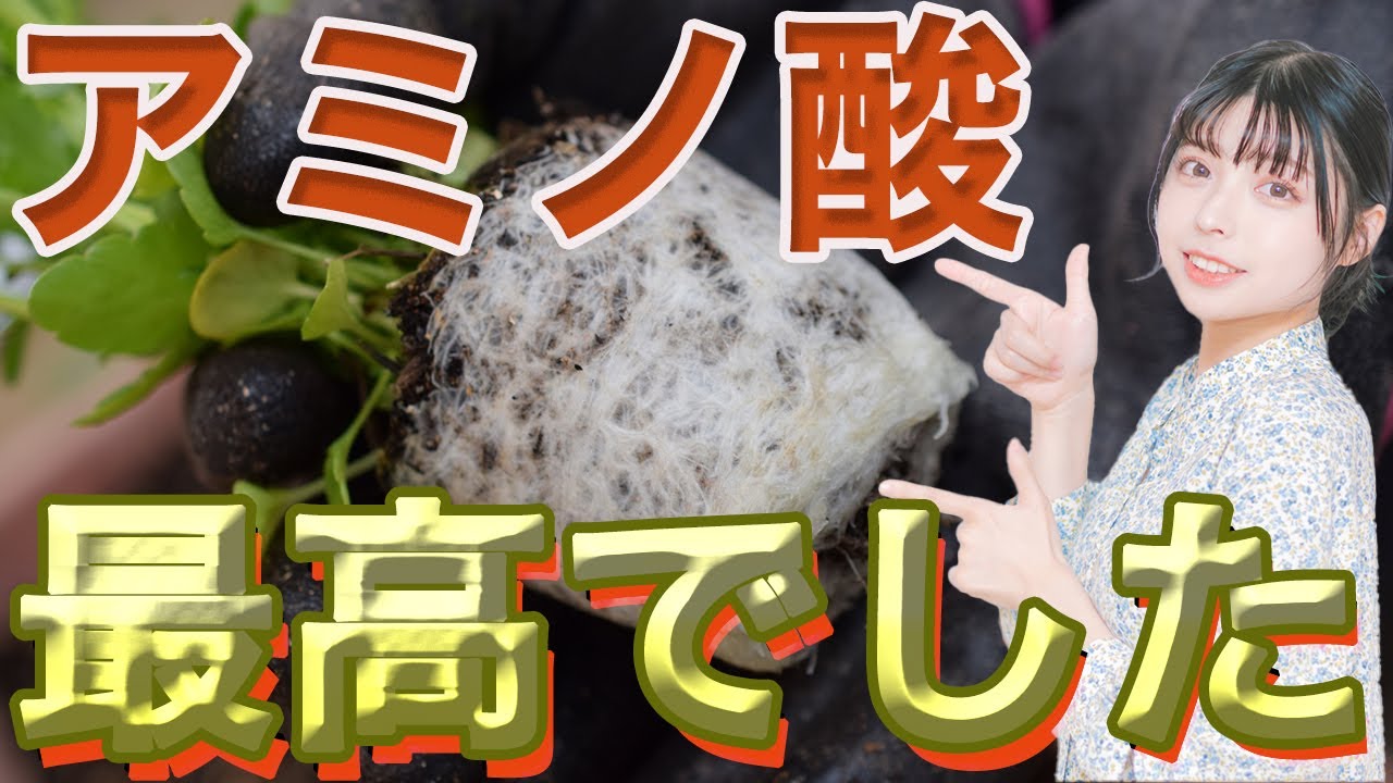 【液肥にはやっぱりコレ】作物の生長を助けるアミノ酸。なぜ効くのか解説します。