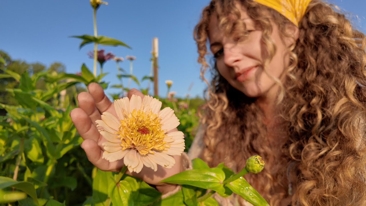 Complete Floret Zinnia Tour Late July