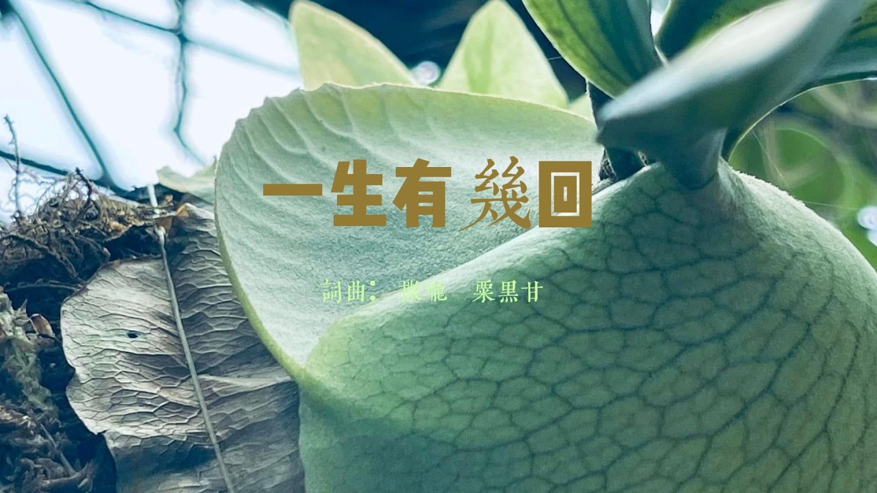 一生有幾回 | 原創歌曲｜粟黑甘音樂團契
