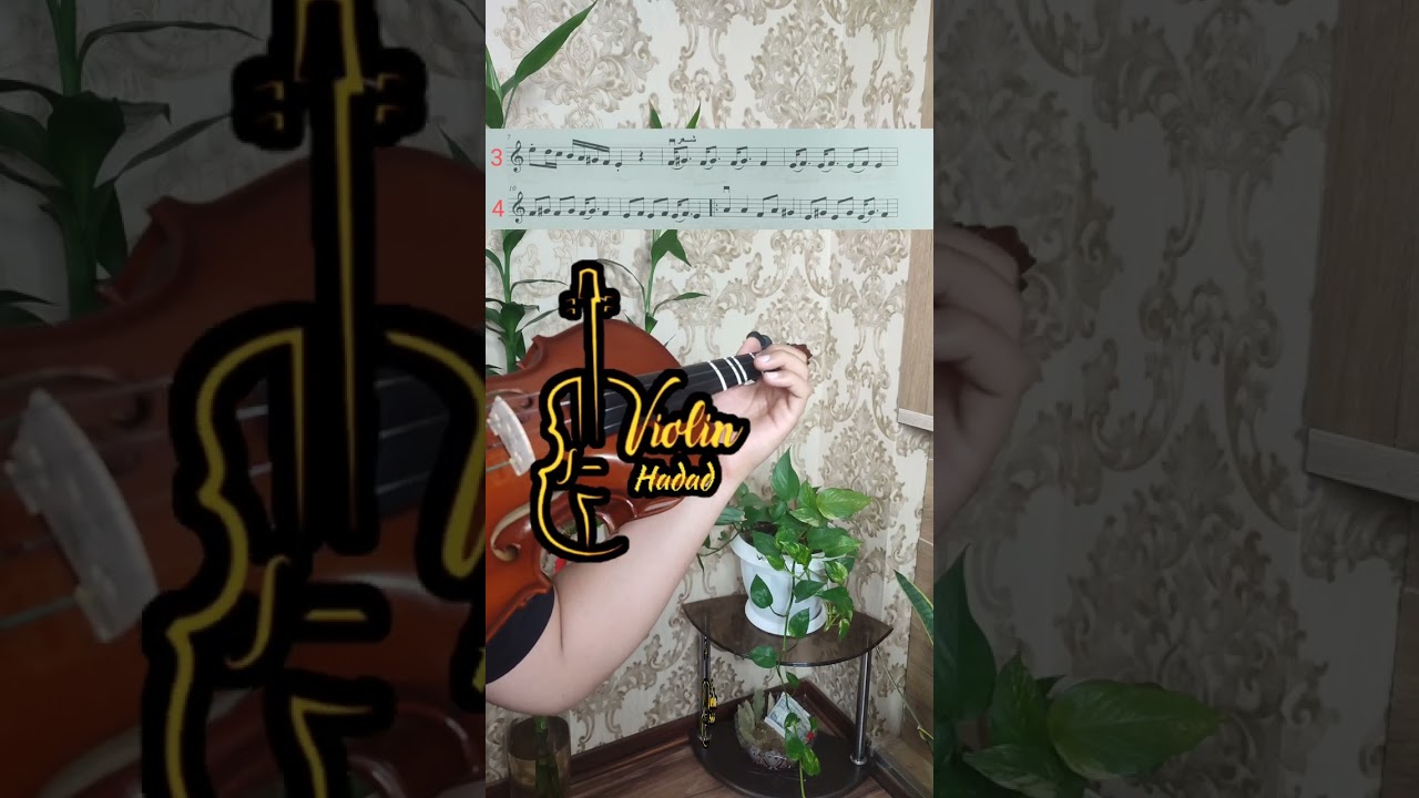 @alirezahadad آهنگ سال سال از بانو هایده