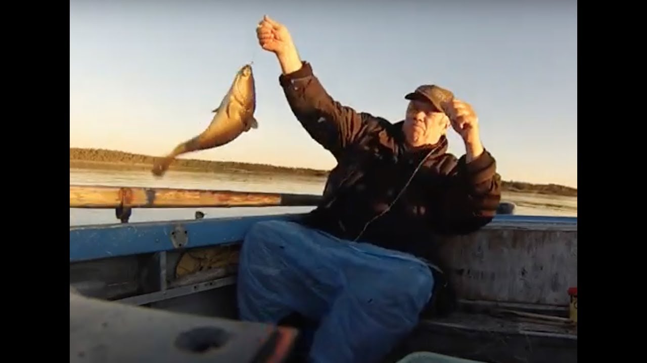 Белое море. Лов трески. БЕШЕНЫЙ КЛЕВ!