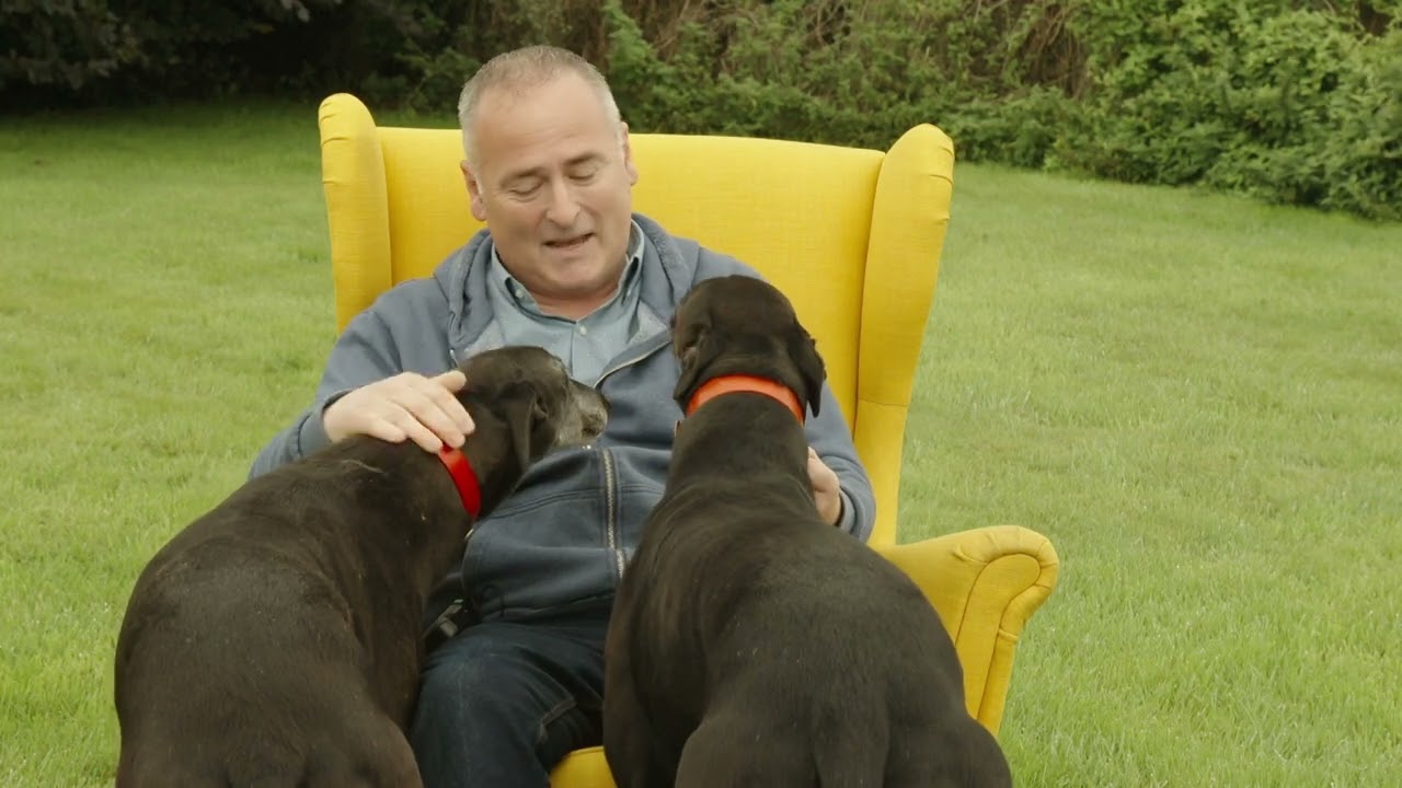 Tales from the Yellow Chair: Paul, Rosie & Joey