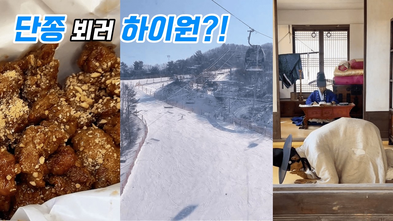 하이원에서 왕사남까지 풀코스로 즐겨요 #하이원리조트 #하이원 #왕과사는남자 #영월 #청령포