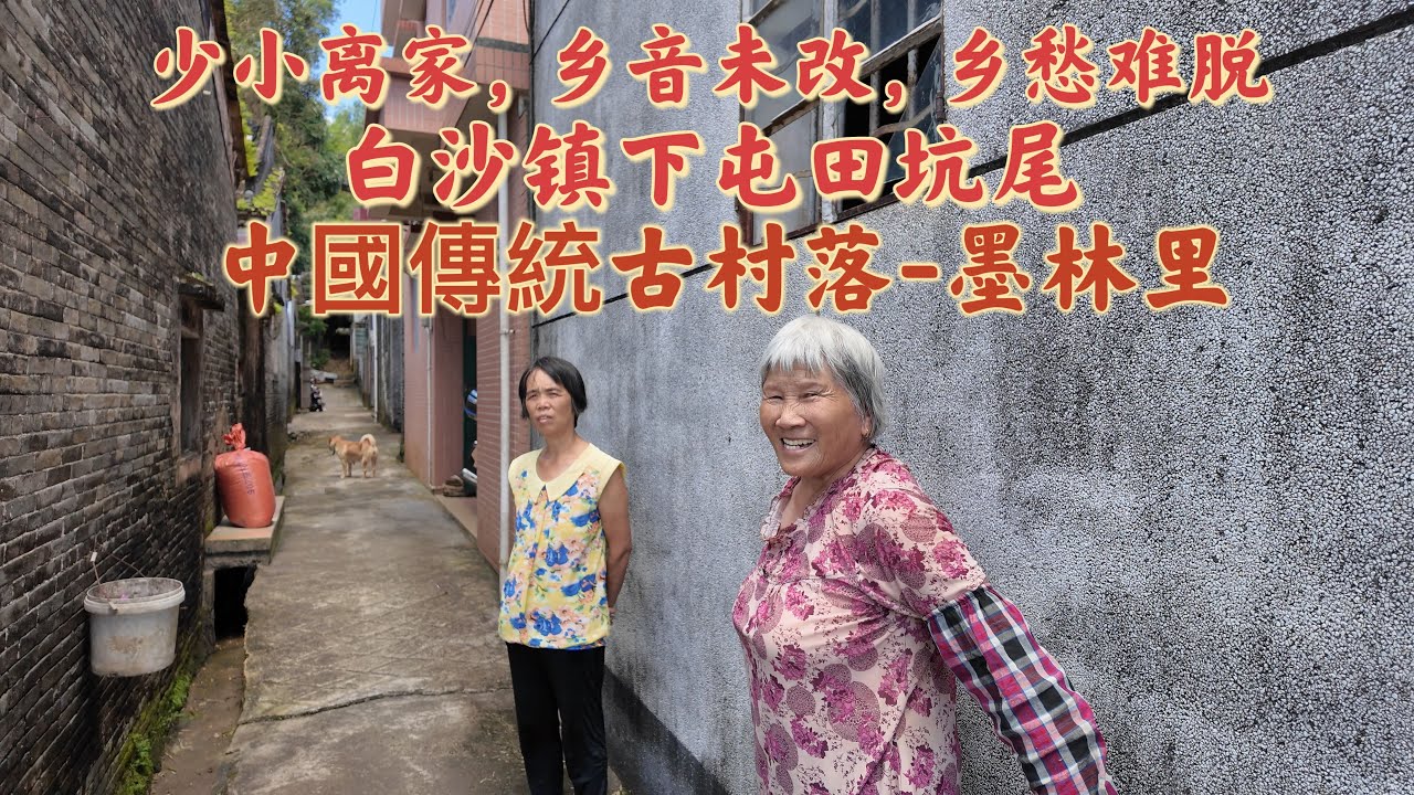 台山百曉：今日分享視頻拍攝地點是台山市白沙鎮下屯田坑村，田坑與墨林里頭尾相接，墨林里的名字來自於墨林學校的建成，取自潑墨成林的這個成語，是一個既有文化內涵又有建築藝術的中國傳統古村！#台山 #尋根 