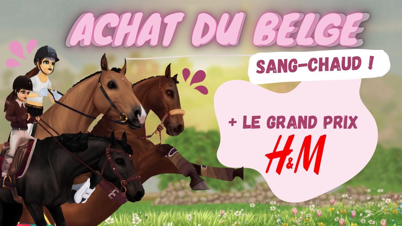 J'achète les belges sang-chaud + H&M Grand Prix - Star Stable Online