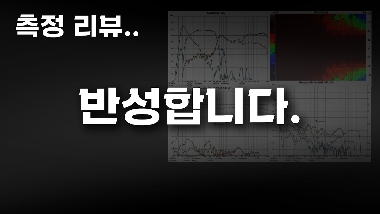 스피커 측정 리뷰도 문제였습니다.